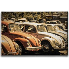 Desenlio Vosvoslar Canvas Tablo