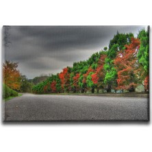 Desenlio Doğa Manzara Tablo