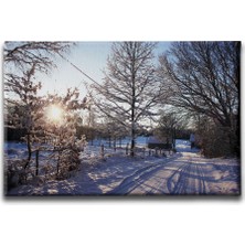 Desenlio Kış Manzara Tablo