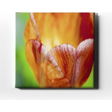 Desenlio Altın Lale Tablo