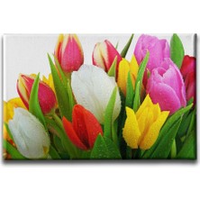 Desenlio Renkli Lale Kanvas Tablo