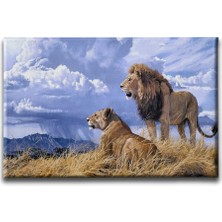 Desenlio Aslan -Kaplan Kanvas Tablo