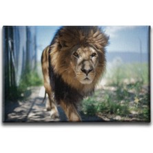 Desenlio Baykuş Kanvas Tablo