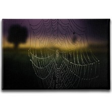Desenlio Örümcek Ağı Kanvas Tablo