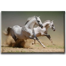 Desenlio Kedi Kanvas Tablo