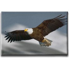 Desenlio Tavus Kuşu Kanvas Tablo