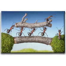 Desenlio Karıncalar Kanvas Tablo