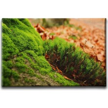 Desenlio Doğa Manzara Tablo