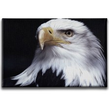 Desenlio Kartal Kanvas Tablo