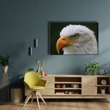 Desenlio Kartal Kanvas Tablo