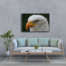 Desenlio Kartal Kanvas Tablo