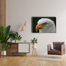 Desenlio Kartal Kanvas Tablo