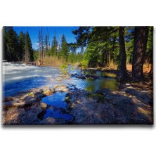 Desenlio Manzara Tablo