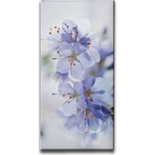 Desenlio Kiraz Çiçeği Kanvas Tablo