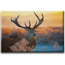 Desenlio Geyik Kanvas Tablo