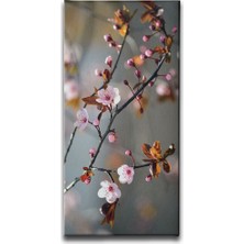 Desenlio Kiraz Çiçeği Kanvas Tablo