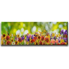 Desenlio Bahar Çiçekleri Panoramik Kanvas Tablo