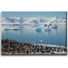 Desenlio Penguen Kanvas Tablo