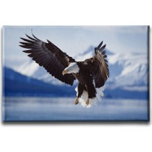 Desenlio Kartal Kanvas Tablo