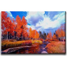 Desenlio Sonbahar Kanvas Tablo