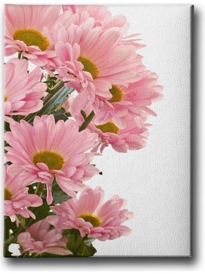 Desenlio Pembe Papatyalı Tablo