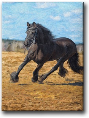 Desenlio At Kanvas Tablo