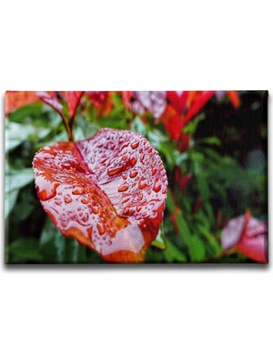 Desenlio Yapraklı Tablo