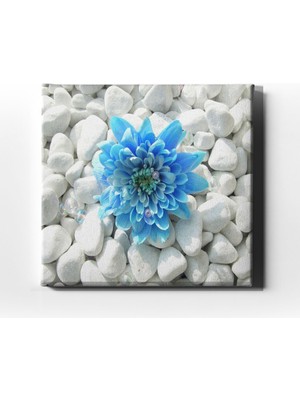 Desenlio Yaban Çiçeği Tablo