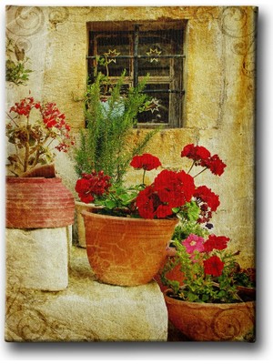 Desenlio Çiçekler Kanvas Tablo