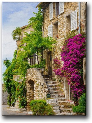 Desenlio Begonvil Manzara Tablo