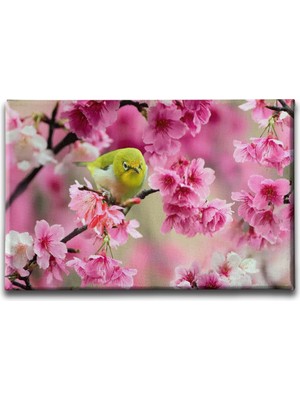 Desenlio Ilkbahar Çiçeği Tablo