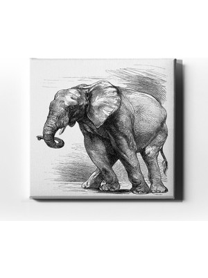 Desenlio Fil Kanvas Tablo