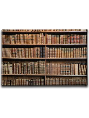 Desenlio Kütüphane  Canvas Tablo