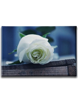 Desenlio Beyaz Gül Kanvas Tablo
