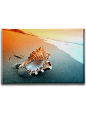 Desenlio Deniz Kabuğu Manzara Tablo