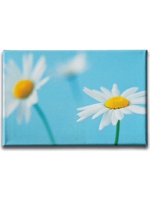 Desenlio Gelin Buketi Tablo