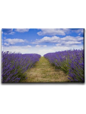 Desenlio Lavanta Bahçesi Manzara Tablo