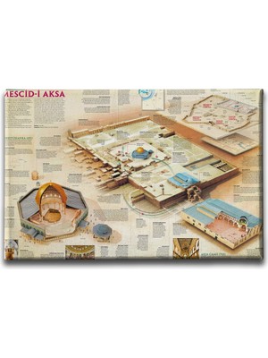 Desenlio Kudüs Şema Tablo