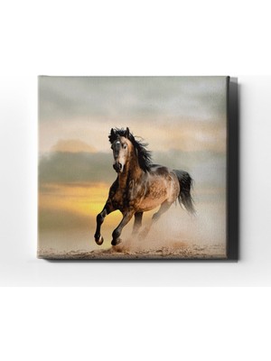 Desenlio At Kanvas Tablo