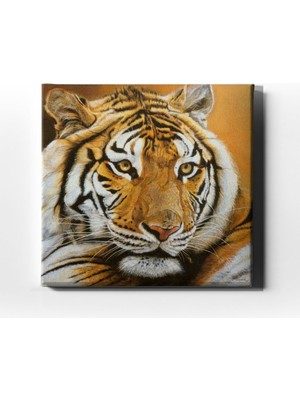 Desenlio Kaplan Kanvas Tablo