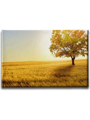 Desenlio Sonbahar Manzara Tablo