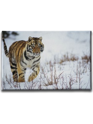 Desenlio Atlar Kanvas Tablo