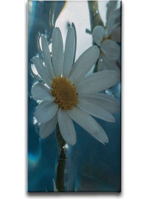 Desenlio Papatya Kanvas Tablo