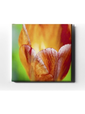 Desenlio Altın Lale Tablo