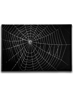 Desenlio Örümcek Ağı  Canvas Tablo