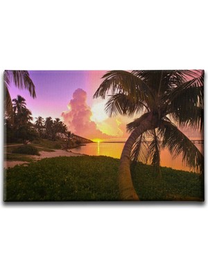 Desenlio Manzara Tablo