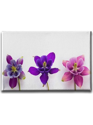 Desenlio Haseki Küpesi Tablo