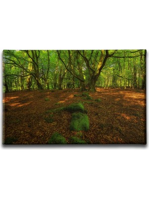 Desenlio Park Manzara  Tablo