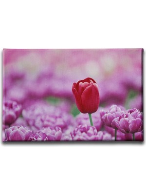 Desenlio Gül Kanvas Tablo