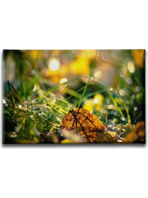 Desenlio Bitki Manzara Tablo